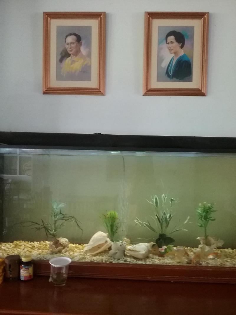 Hotel River Krabi town